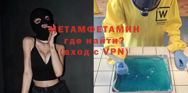 прущие грибы Верхний Тагил
