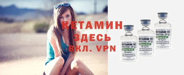 прущие грибы Верхний Тагил