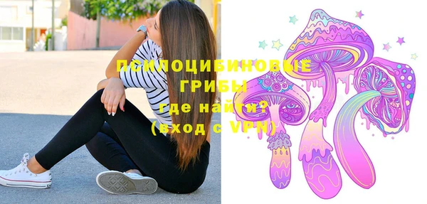 прущие грибы Верхний Тагил