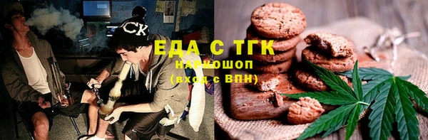 прущие грибы Верхний Тагил
