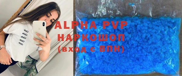 прущие грибы Верхний Тагил