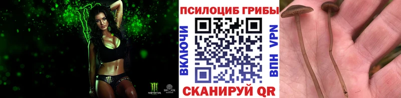 Галлюциногенные грибы Magic Shrooms  Купить где  Нариманов 